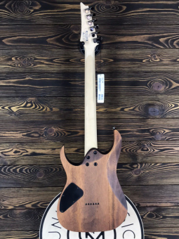 Ibanez RG Series RG421 MOL Фото 9
