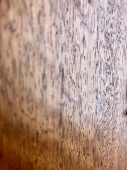 Ibanez RG Series RG421 MOL Фото 10