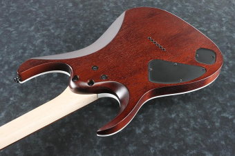 Ibanez RGA Series RGA42FMDEF Фото 3