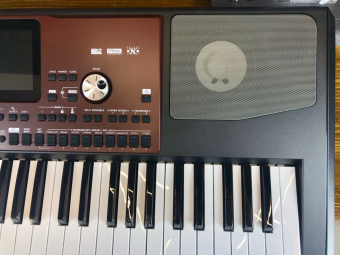KORG PA700 Фото 5
