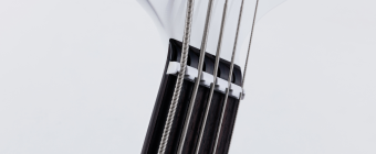 Music Man StingRay5 Neck Through HH - Powder Blue - Rosewood - White Фото 8