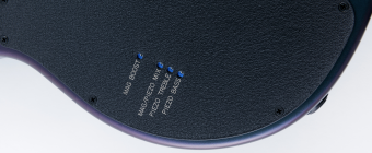 Music Man Majesty - Arctic Dream - Ebony - No Pickguard Фото 3