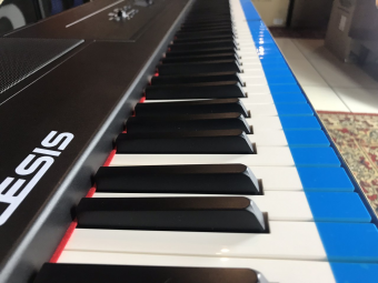 Alesis Recital Pro Фото 5