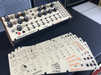 Moog DFAM Фото 3