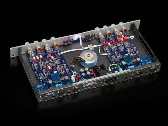 Elysia xflter Фото 3