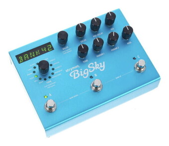 Strymon Big Sky Multi Reverb Фото 10