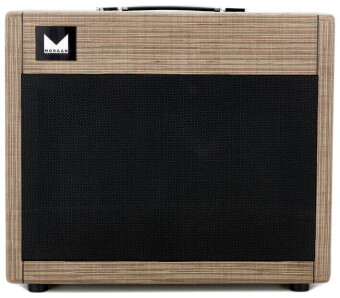Morgan Amplification 112 Cab Driftwood Фото 8