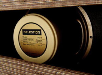 Morgan Amplification 112 Cab Driftwood Фото 5