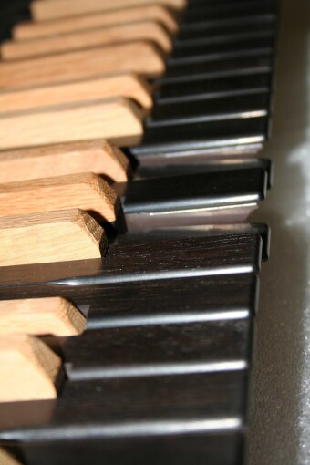 Viscount Single Keyboard (TP8) - wooden covered keys
