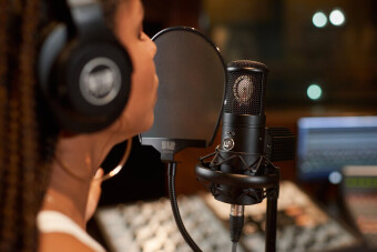 Warm Audio WA-8000 Фото 5