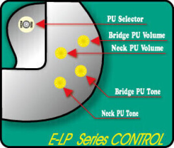 ESP Edwards E-LP-125SD Vintage Honey Burst Фото 2