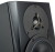 Dynaudio LYD-5 Black Фото 5