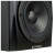 Dynaudio LYD-5 Black Фото 4