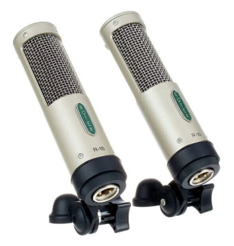 Royer Labs R10 Matched Pair Royer Labs R10 Matched Pair Фото 6