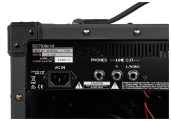 Roland JC-22 Фото 4
