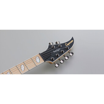 Caparison Dellinger II FX Prominence MF  T. Spectrum Blue Фото 4