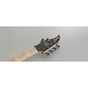 Caparison Horus-WB-FX MF  Trans. Charcoal Black Фото 4