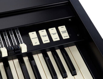 Viscount Legend - BLACK - JDF 