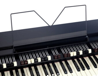 Viscount Legend - BLACK - JDF 