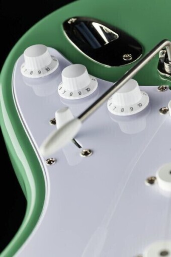 PRS SE Silver Sky Ever Green Фото 5