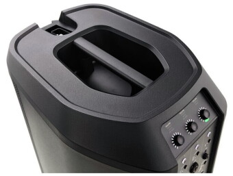 BOSE L1 PRO16 Фото 11