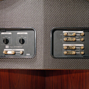 JBL Project Everest DD67000 (RoseWood) Фото 4