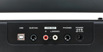 Alesis RECITAL 61 Фото 3