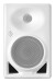 Neumann KH 120 II W Фото 5