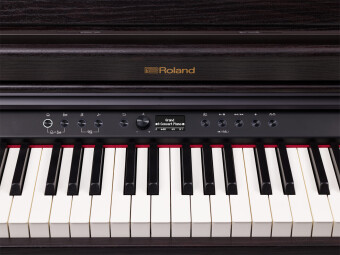Roland RP701-CB Фото 3