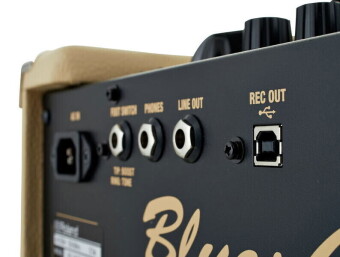 Roland Blues Cube Hot VB Фото 2