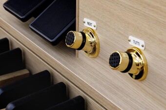 Viscount Organs DOMUS 4 Dark Laminated Фото 3