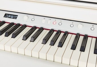 Roland HP704-WH SET 2830 Фото 8