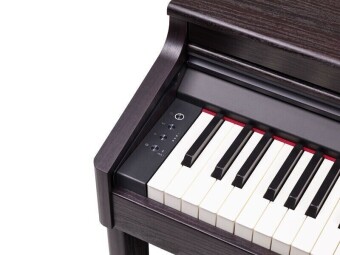 Roland RP701-DR Фото 2