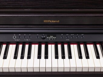 Roland RP701-DR Фото 3