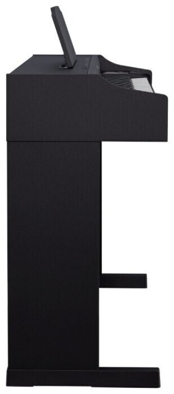 Roland RP102-BK Фото 2