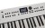 Roland GO:KEYS 5 Keyboard - White Фото 6