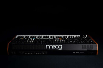 Moog Muse Фото 3