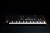 Moog Muse Фото 5