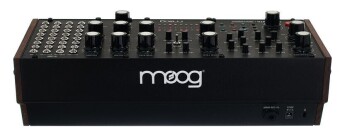 Moog Labyrinth Фото 14