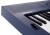 Roland GO:KEYS 3 Keyboard - Midnight Blue Фото 4