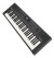 Roland GO:KEYS 5 Keyboard - Graphite Фото 8