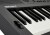 Roland GO:KEYS 5 Keyboard - Graphite Фото 7