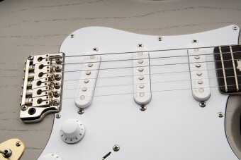 PRS Silver Sky Dead Spec Limited Edition Фото 2