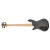 Spector Euro5 LX Bolt-on Transparent Black Фото 2