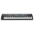 Roland JUNO-D8 88 Key Synthesizer Фото 16