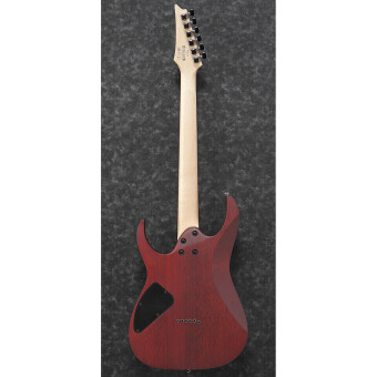 Ibanez RG421PB-CHF Caribbean Shoreline Flat Фото 5