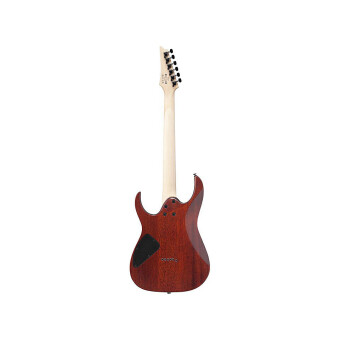 Ibanez RG421S-SEM Sea Shore Matte Фото 2