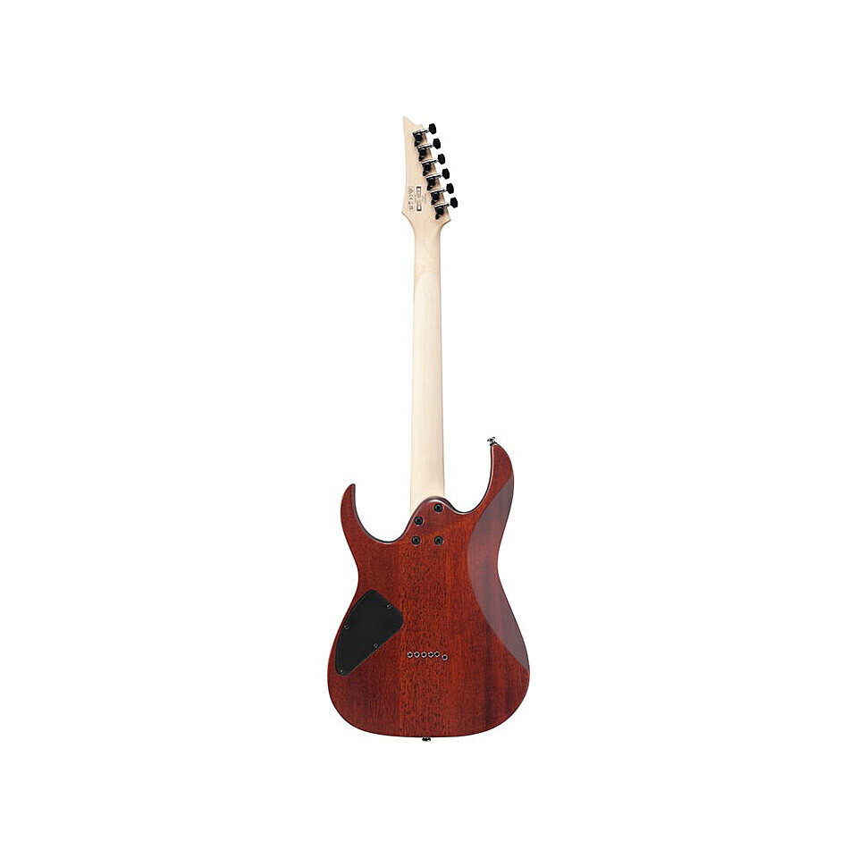 ギター Ibanez rg421s Ibanez RG421S-SEM Sea Shore Matte купить в Москве | UNITED MUSIC