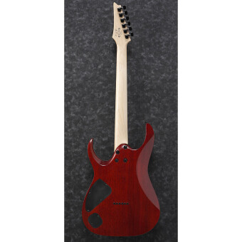 Ibanez RGA42FM-TGF Transparent Gray Flat Фото 3