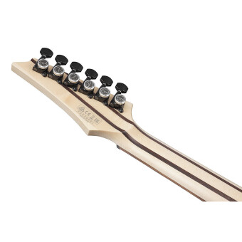 IBANEZ RGD3121-PRF Polar Lights Flat with Case IBANEZ RGD3121-PRF Polar Lights Flat with Case Фото 8